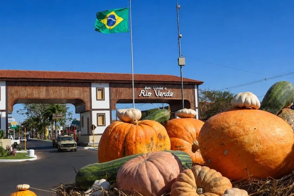 Abóboras gigantes de até 100 kg são colhidas para aniversário de 178 anos de Rio Verde