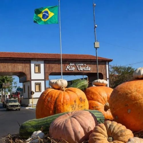 Abóboras gigantes de até 100 kg são colhidas para aniversário de 178 anos de Rio Verde