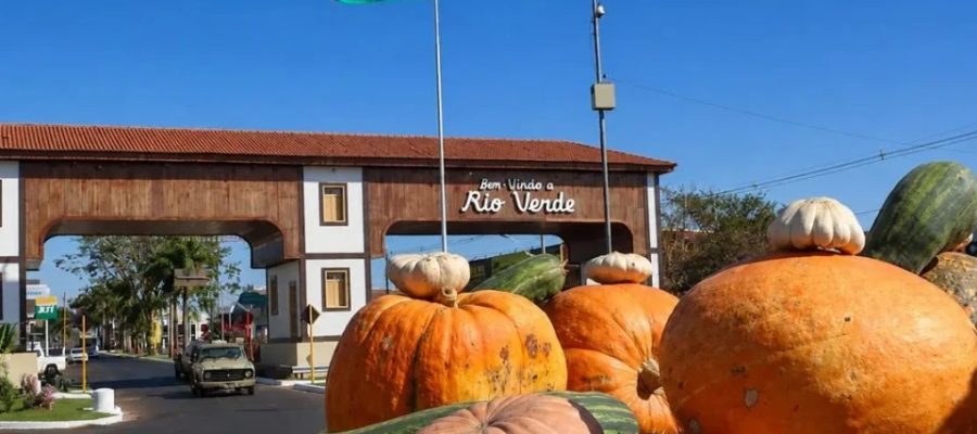 Abóboras gigantes de até 100 kg são colhidas para aniversário de 178 anos de Rio Verde