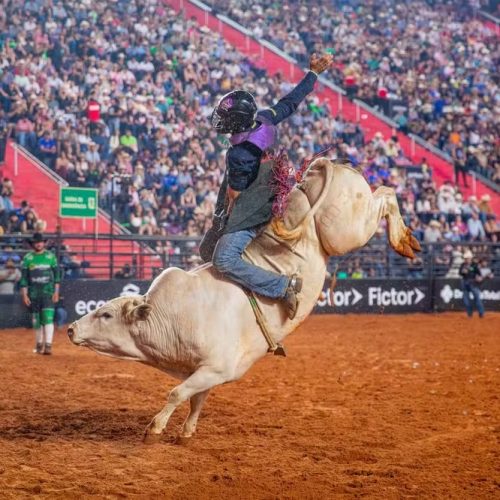 Após quase uma década, Goiânia volta a receber competição de rodeio, com participação de campeão mundial