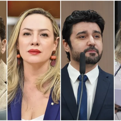Goiás elege 17 deputados federais; PL mantém maior bancada do estado